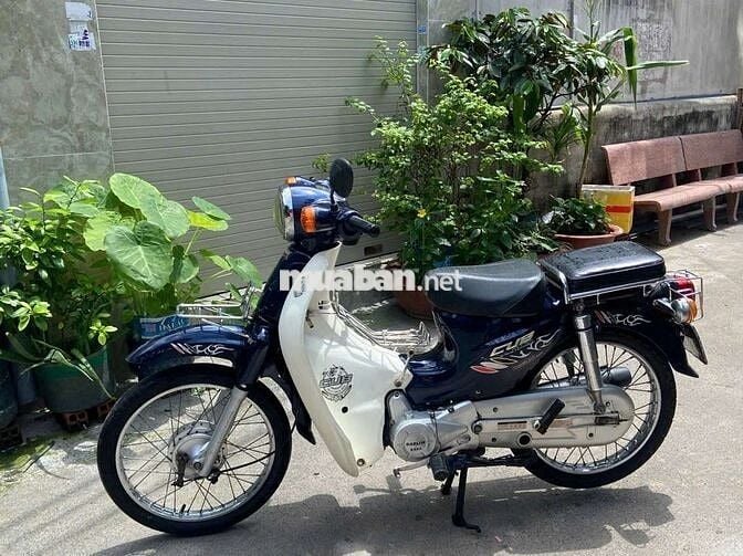 Cup 50cc dealim xe bstp 9 chủ