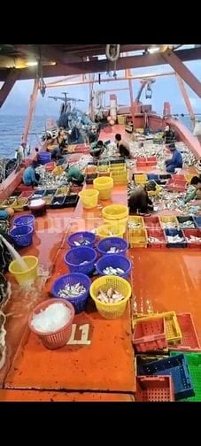 Tuyển 5 lao động nam làm việc trên biển tại Kiên Giang 