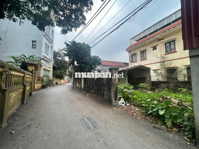Bán gấp Đất Ngũ Hiệp - Đông Mỹ ô tô tránh ,phân lô kinh doanh  4.5 tỷ