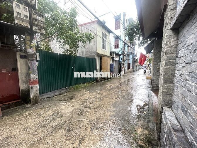 Bán gấp đất đấu giá Đại Áng ô tô ,phân lô ,vỉa hè giá 9.1 tỷ