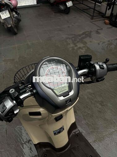 Scoopy indo 2022 dkld 2023 smarkey