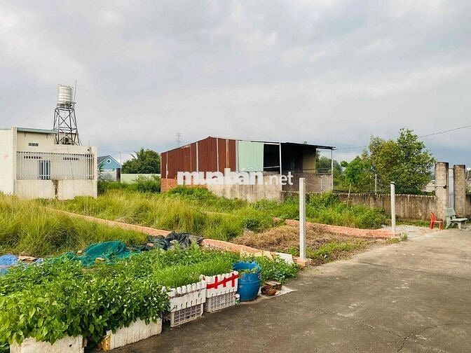 ĐẤT SỔ RIÊNG PHỦ HỒNG 100m2, GẦN CHỢ TRÀ CỔ và KDL THÁC GIANG ĐIỀN.