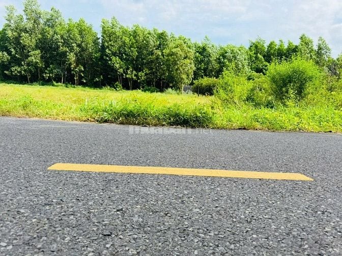 Kẹt tiền cần bán nhanh lô đất MT Đường An Ninh, Đức Hòa, Long An