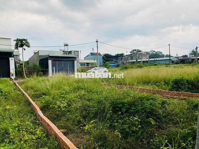 ĐẤT SỔ RIÊNG PHỦ HỒNG 100m2, GẦN CHỢ TRÀ CỔ và KDL THÁC GIANG ĐIỀN.