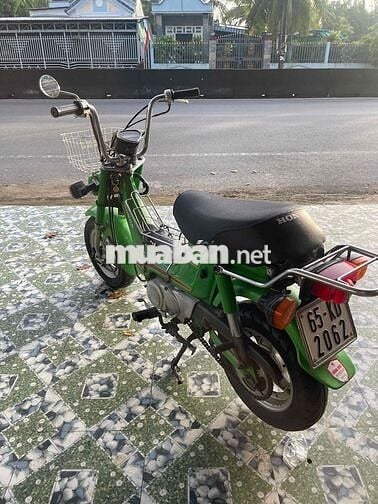 Chaly đèn vuông xin hết xe bs 65