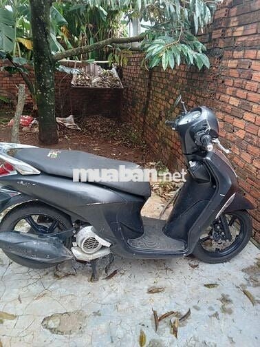 Xe Janus 2019