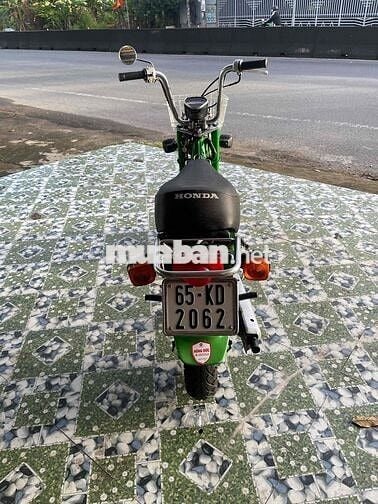 Chaly đèn vuông xin hết xe bs 65