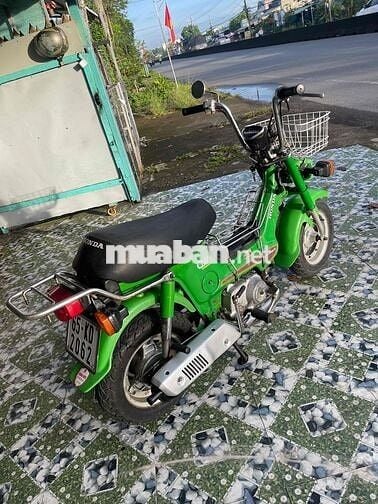 Chaly đèn vuông xin hết xe bs 65