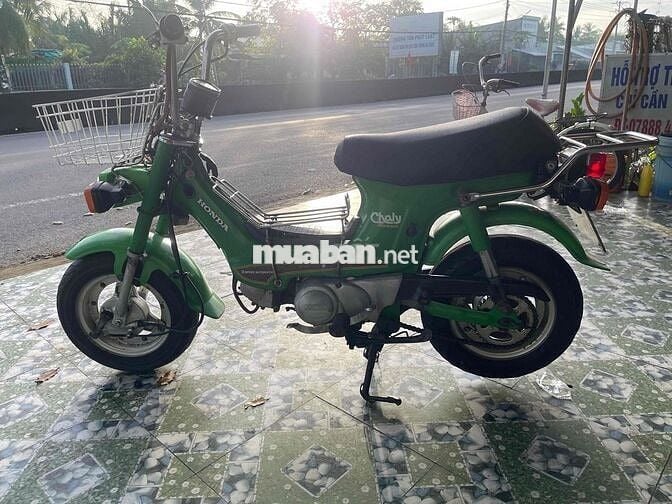 Chaly đèn vuông xin hết xe bs 65