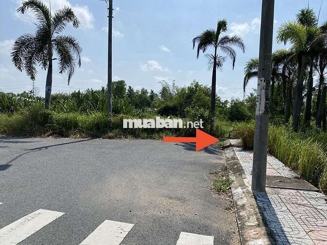 Em Cần Tìm Gấp vài nền Đất CC dự án KDC  ở Cần Giuộc và các KV Long An