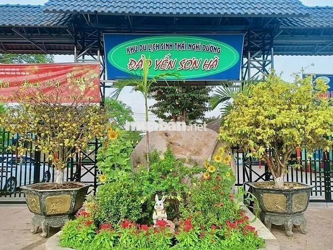 BÁN GẤP ĐẤT TC THỊ TRẤN TÂN PHÚ,ĐỒNG PHÚ NGAY KDL ĐẢO YẾN GIÁ 195TR