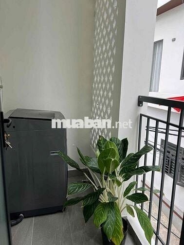 Cho thuê căn hộ 1 phòng ngủ giá tốt ngay Mỹ An