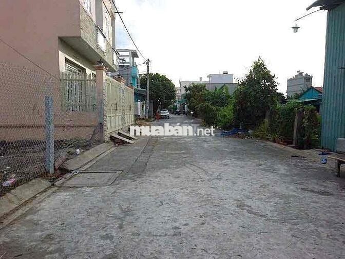 BÁN ĐẤT BÌNH CHÁNH ĐƯỜNG 8M - GẦN CHỢ ĐỆM - SỔ HỒNG RIÊNG