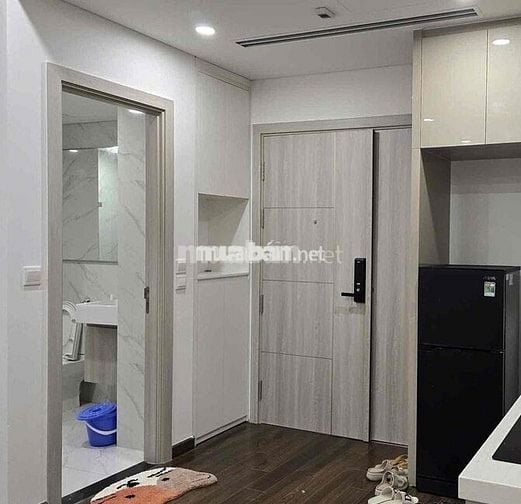 Cho thuê Căn hộ khu VIP, 1 ngủ +, bến xe buýt , riêng tư, nội thất 5*