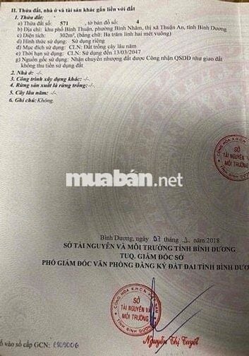 BÁN ĐẤT MT BÌNH NHÂM 08 (10x30)
