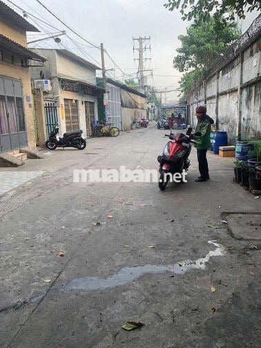Cô Hoa Cần Bán dãy trọ 250m2, Giá 1ty250tr, Gần Chợ Bình Chánh