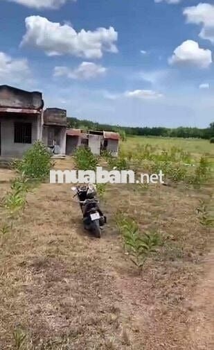 Chính chủ cần bán hạ giá 500trieu , giá cũ 6tỷ , giá mới 5,5tỷ
