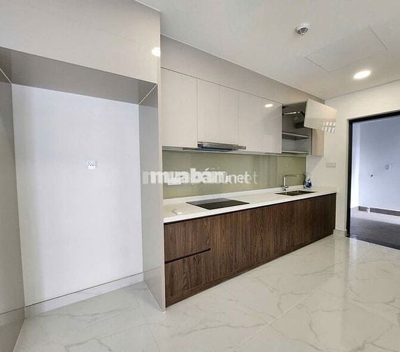 Cho thuê căn hộ DIAMOND Brilliant Celadon – 112m²-2PN,GIÁ 16.5tr/tháng
