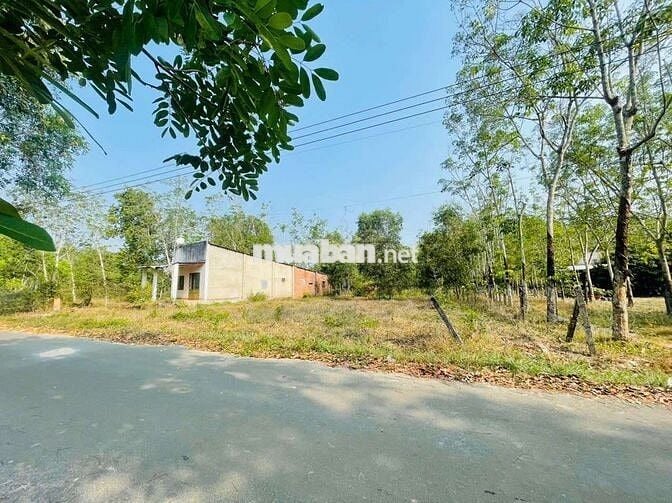 BÁN GẤP LÔ ĐẤT NGAY TRUNG TÂM ĐỊNH AN, DĨ AN - CHÍNH CHỦ, GIÁ CHỈ 2 TỶ