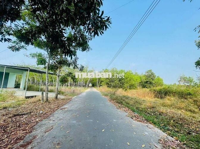 BÁN GẤP LÔ ĐẤT NGAY TRUNG TÂM ĐỊNH AN, DĨ AN - CHÍNH CHỦ, GIÁ CHỈ 2 TỶ