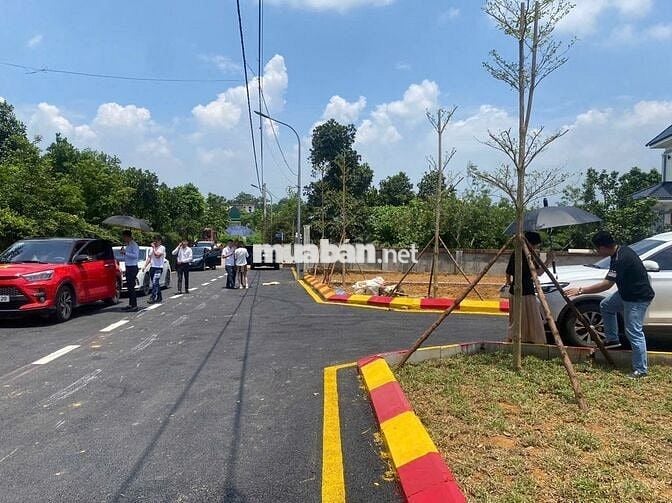 Bán đất nền Đường 21 Cổ Đông Sơn Tây, Hà Nội, giá chỉ 2,5 tỷ, DT 100m2