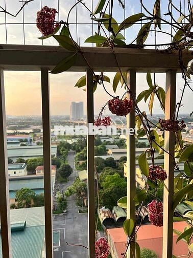 🏡Bán căn hộ 2PN Chung cư Quân đội K33 – Long Biên , Giá hơn 4tỷ