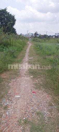 Cần tiền đống tiền học chi con bán gấp lô đất giá siêu rẻ
