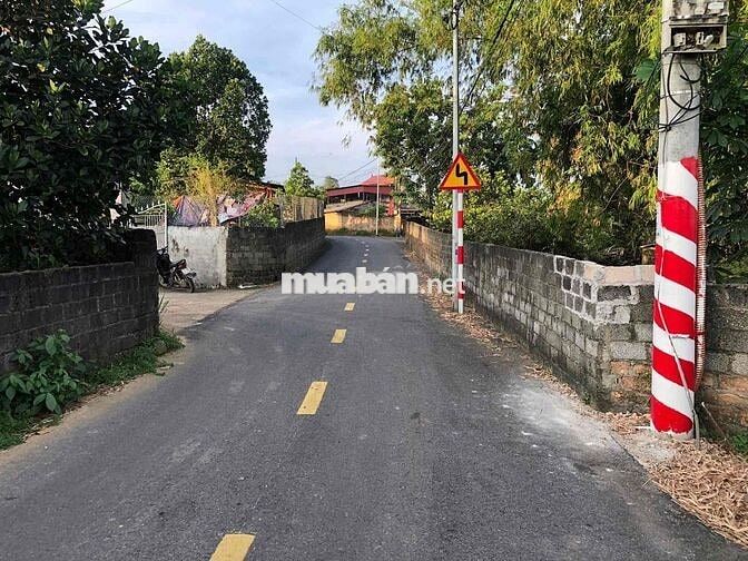 Bán 1000m2 Đất Mặt Tiền Kinh Doanh