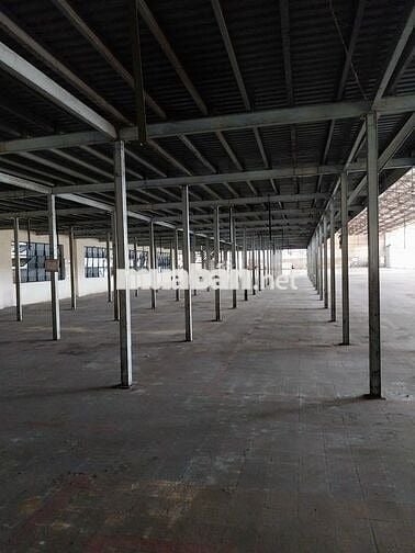 Mặt bằng SX-KD khoảng 15.000m2 Đường Trần Đại Nghĩa, Bình Chánh cũ