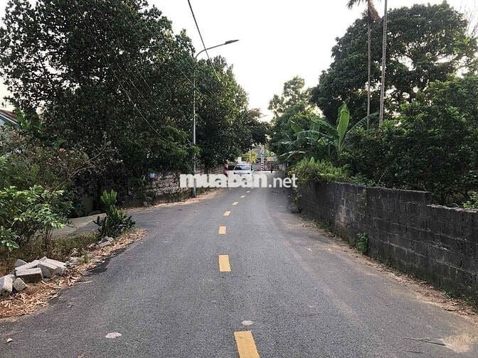 Bán 1000m2 Đất Mặt Tiền Kinh Doanh