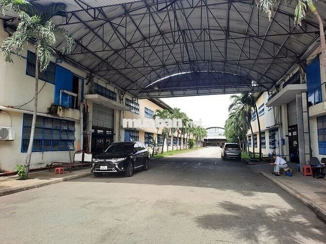 Mặt bằng SX-KD khoảng 15.000m2 Đường Trần Đại Nghĩa, Bình Chánh cũ