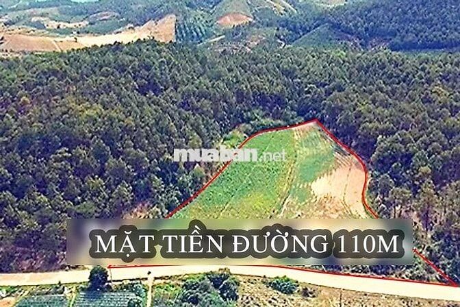 K chỉ còn là mảnh đất thông thường mà là Cơ Hội nếu biết nắm bắt !