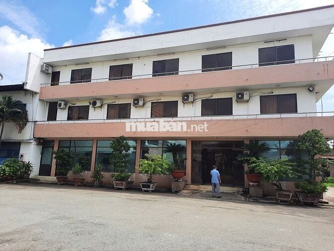 Mặt bằng SX-KD khoảng 15.000m2 Đường Trần Đại Nghĩa, Bình Chánh cũ