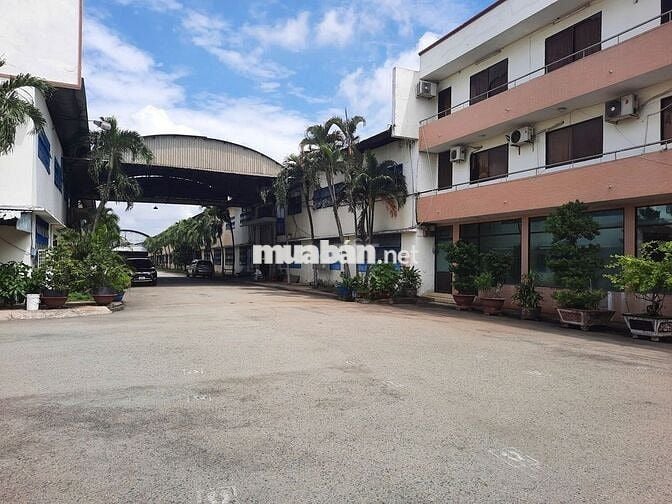 Mặt bằng SX-KD khoảng 15.000m2 Đường Trần Đại Nghĩa, Bình Chánh cũ