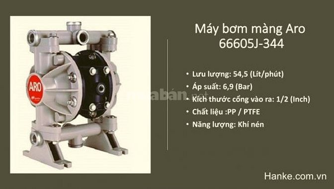 Máy bơm màng khí nén Aro 66605J-344