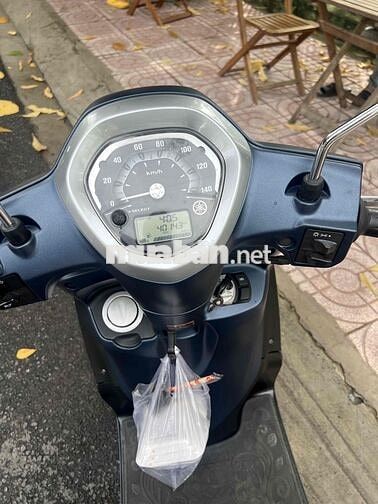 yamaha .GRANDE xanh nhám bản đặc biệt