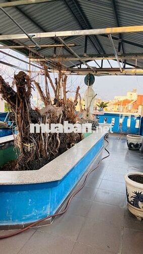 Chính chủ bán nhà 2 mặt tiền số 39 Đường Số 21, phường 8 quận gò vấp