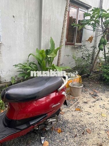 Atila mày móc khô ráo mạnh đẹp liền lạc giấy tờ đủ