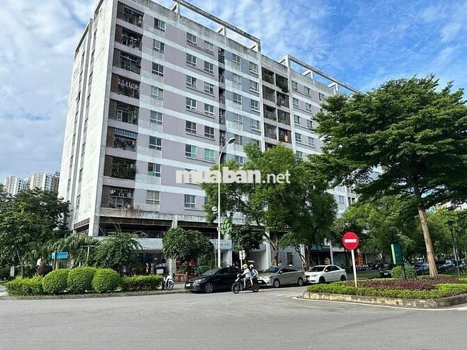 🌟 BÁN ĐẤT DỰ ÁN TRƯỜNG HỌC LIÊN CẤP – THANH TRÌ – HÀ NỘI🌟