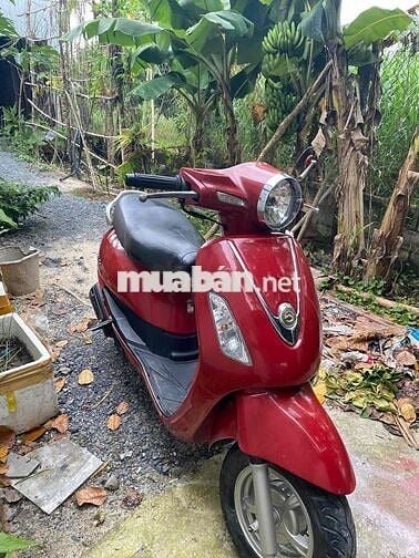 Atila mày móc khô ráo mạnh đẹp liền lạc giấy tờ đủ