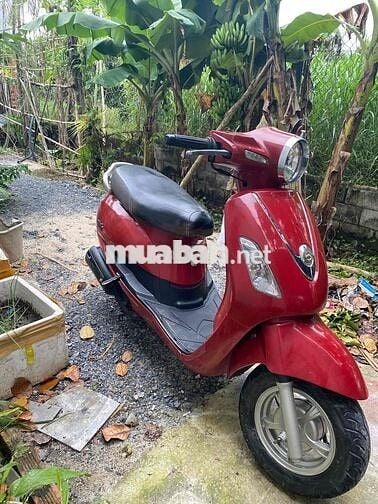 Atila mày móc khô ráo mạnh đẹp liền lạc giấy tờ đủ