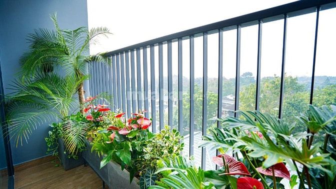 🔑 CĂN HỘ THE FIBONAN ECOPARK 2PN – 56.5m²,FULL TIỆN ÍCH 5⭐, CHỈ 4.2TỶ