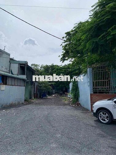 Rẻ bà cố, HXH Lý Chiêu Hoàng, DT 10x10 100m2 mà chỉ 8.5 tỷ