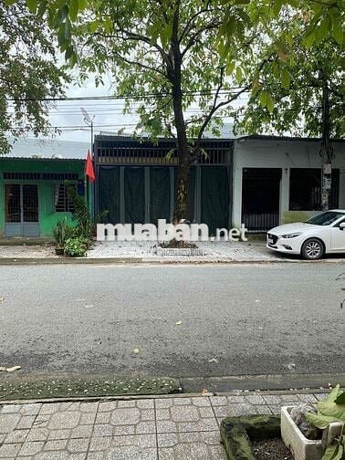 Cho thuê nhà mặt tiền đường Nguyễn Du, hẻm 72 phường Quang Vinh,