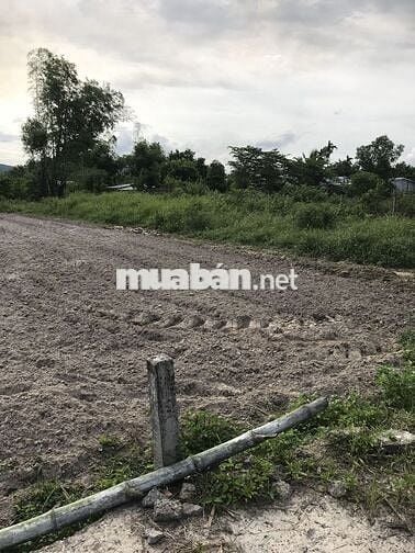 Bán đất thích hợp làm nhà vườn. Định cư