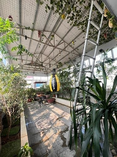 (Chính chủ) Tôi Cần bán toà Mp Lê Văn Hưu, Q HBT, Dt 120 m,10 T, 110ty