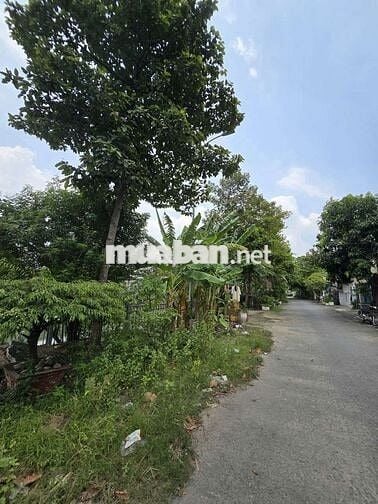 Chủ ngộp bán gấp đất đường Tỉnh lộ 43, Bình chiểu Thủ Đức. 144m, 6,9T