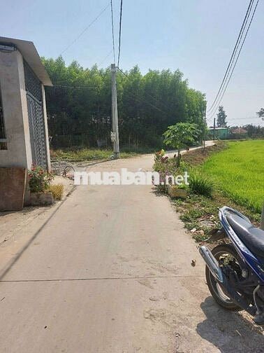 Đất sổ riêng thổ cư Phường Tân Triều