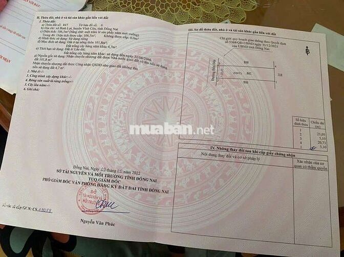 Đất sổ riêng thổ cư Phường Tân Triều