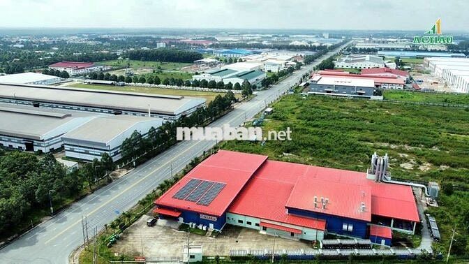 Đất ngay chợ kcn Bàu bàng, DT 150m2, full thổ, sổ sẵn,sát bên KCN